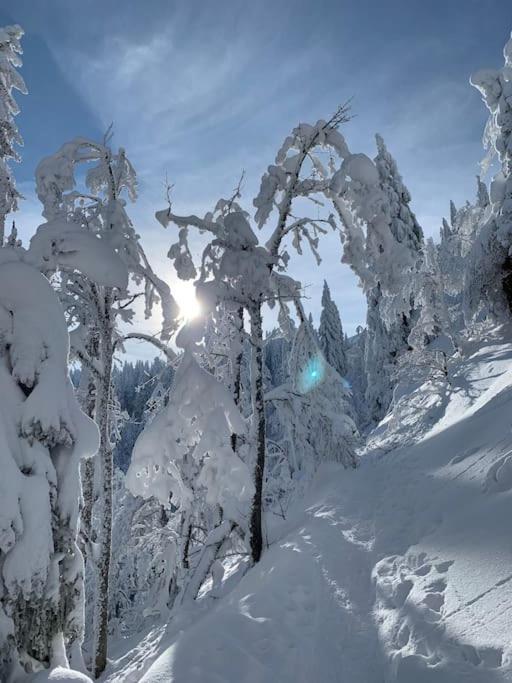Stube9 Am Feldberg, Direkt An Der Skipiste, Ski In-Ski Out Feldberg  Esterno foto